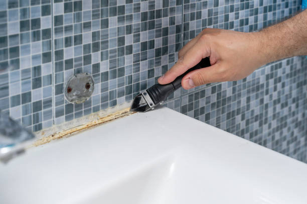 Best Black Mold Removal  in Stanford, CA