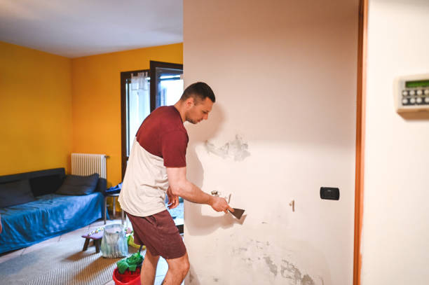 Professional Mold Removal in Stanford, CA